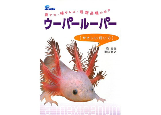 楽天ブックス ウーパールーパー やさしい飼い方 育て方 殖やし方 最新品種の紹介 森文俊 本 楽天ブックス ウーパールーパー やさしい飼い方 育て方 殖やし方 最新品種の紹介 森文俊 本